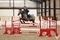 Mia Coxon & Kilnacappagh Harry win the Scottish Branch South West Championship 2026